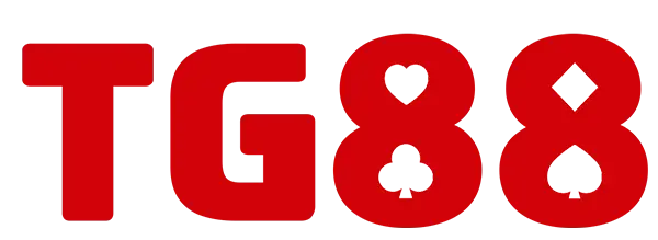 newseo
